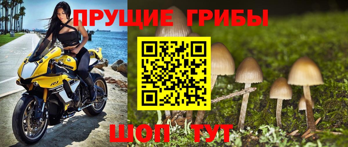 цены   Вход с VPN  Зерноград  Галлюциногенные грибы мицелий 